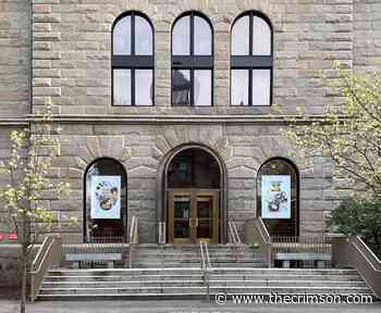 Office for the Arts Creates Exhibition to Decorate Empty Campus | News - Harvard Crimson