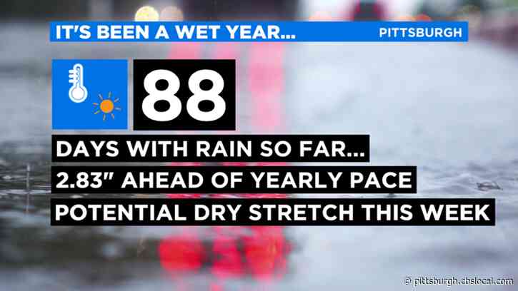 Pittsburgh Weather: Temperatures Warming Up, Wet Start To 2020