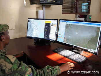 GPS collars for lions and cheetahs: How IoT and open source are protecting rare animals