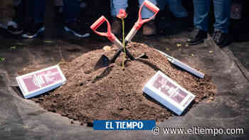 Coronel (r) Borja anotó cada uno de sus más de 50 'falsos positivos' - El Tiempo