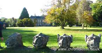 Passionate People, Passionate Places: Wallington is my second home