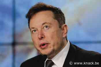 Is Tesla de nieuwe maatstaf? En wat met Elon Musk?