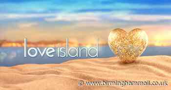 Love Island cancels winter series 2021 in South Africa after coronavirus