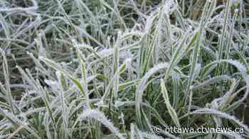 Frost advisory for the Ottawa Valley | CTV News - CTV News Ottawa