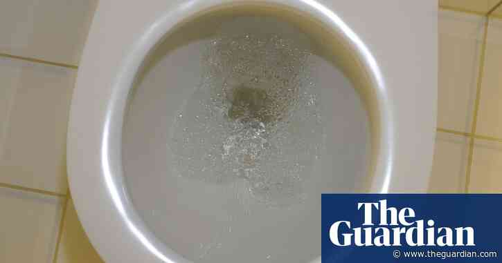 ACCC loses appeal against Kimberly-Clark ruling on 'flushability' of wipes