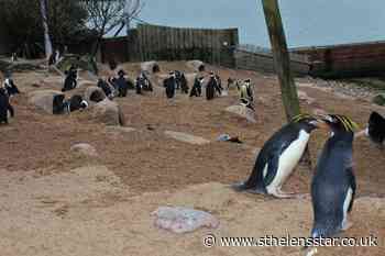 Covid-19 forces permanent closure of zoo - St Helens Star