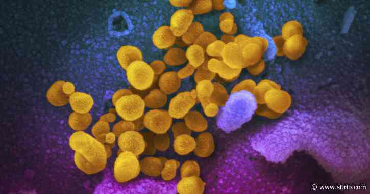 South Salt Lake DMV closes after employee tests positive for COVID-19