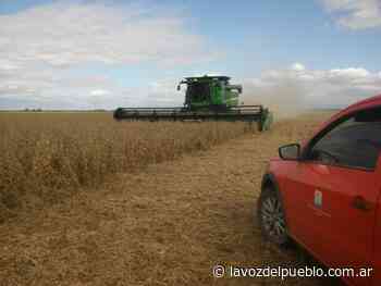La cosecha de soja finalizó en áreas de Buenos Aires y La Pampa - La Voz del Pueblo