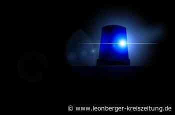 Polizeibericht aus Weissach: Autoknacker auf frischer Tat ertappt - Leonberger Kreiszeitung - Leonberger Kreiszeitung