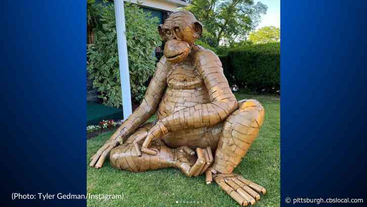 Pittsburgh Artist Constructs Giant Chimpanzee Sculpture Out Of Recycled Cardboard, Glue And 150 Hours Of Quarantine Time