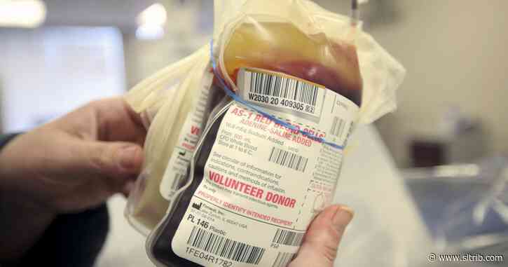 Red Cross offering COVID-19 antibody tests to its blood donors