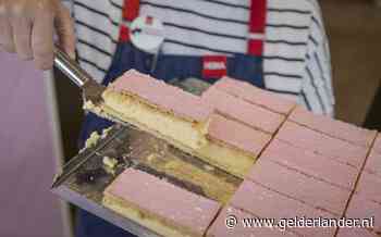 Kan Hema nog wel oer-Hollands blijven? En nog vier andere vragen