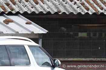 Opnieuw besmetting met corona bij nertsenbedrijf in Sint Anthonis