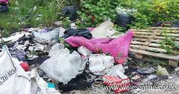 The massive amount of fly tipping dumped near a walkway in Skewen