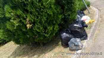 Vivi Castiglion Fibocchi: "Erba alta, rifiuti in strada e disagi" - ArezzoNotizie