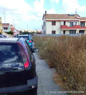 Auto parcheggiate in via dell'Asfodelo: "salta" lo sfalcio dell'erba - SassariNotizie.com