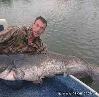 Wesley (35) uit Beek en Donk vangt meerval van twee meter: ‘Zo'n 80 kilo hè, da's zwaarder dan ikzelf’
