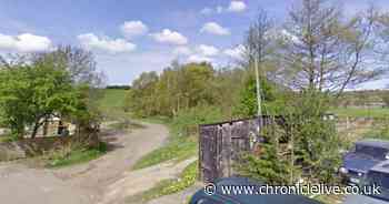 Schoolgirl accused of attacking police officer who tackled underage drinkers