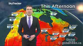 Saskatchewan weather outlook: June 15