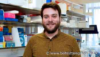 Many could die in new NI coronavirus surge warns expert, but former WHO chief says second wave unlikely
