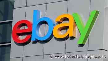 eBay staff ‘sent spiders to terrorise couple who published critical newsletter’