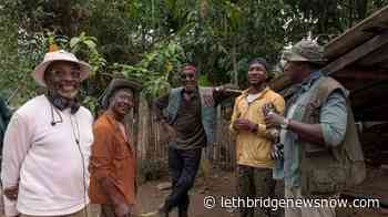 Spike Lee issues apology after defending Woody Allen - Lethbridge News Now