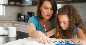 Google helping most Belfast parents during homeschooling, survey finds - Belfast Live