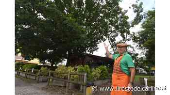 Via erba e degrado, i bimbi giocano nel parco - il Resto del Carlino