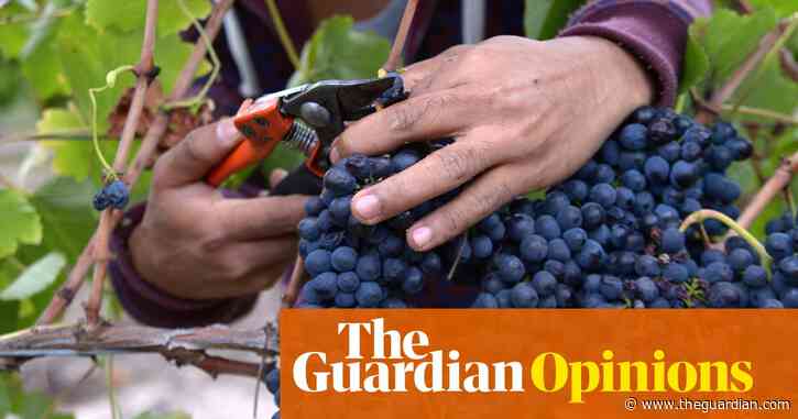 Pass the shiraz: how Australia’s wine industry can adapt to climate change | Gabi Mocatta, Rebecca Harris and Tomas Remenyi