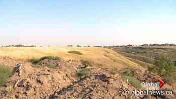 City council unanimously votes to scrap controversial Lethbridge pathway project