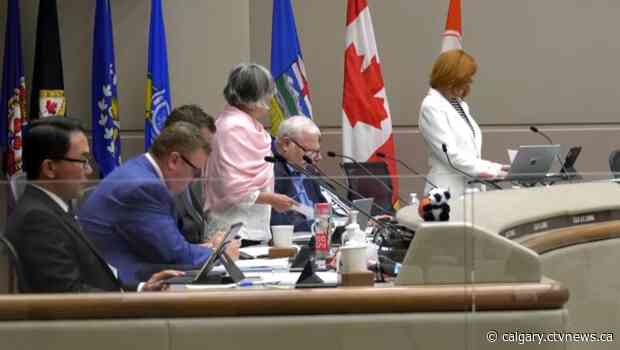 City council passes anti-racism motion
