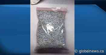 Opioid overdoses killed up to 142 people in Alberta during first 3 months of 2020: province