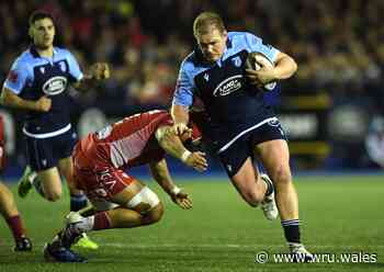Gill longing for green, green grass of Arms Park - Welsh Rugby Union