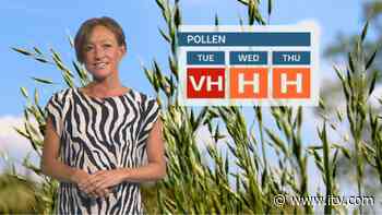 Pollen Count: Very high! | Wales - ITV News - ITV News