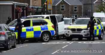 Armed police called to an address in Swansea - Wales Online