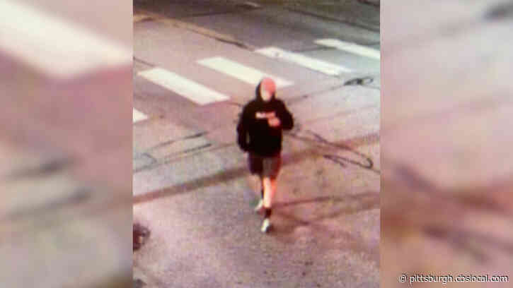 Aspinwall Police Seeking Help To Identify Person Who Defaced Buildings