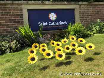 Appeal to support patient care