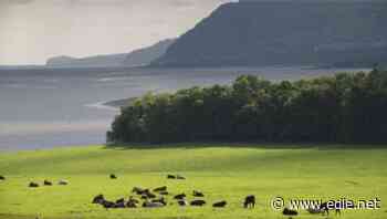 Charities to Boris Johnson: Pandemic response will determine whether UK meets climate goals