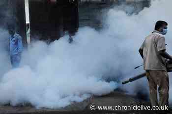 World in crisis: This is what the Covid-19 pandemic looks like around the world