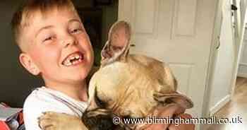 Youngster Josh steps up to help Twycross Zoo
