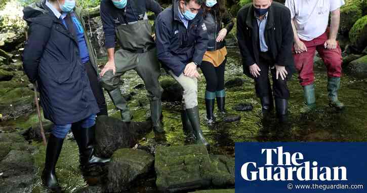 Suspected 14th-century statue fished out of river in Spain