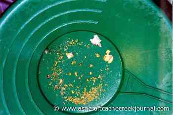 There's gold on the river in Ashcroft if you know where to look - Ashcroft Cache Creek Journal