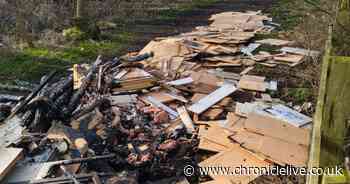 Thousands of Trading Standards complaints made during lockdown