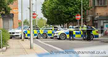 Hunt for hit-and-run driver who struck elderly woman