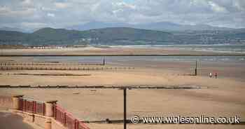 Teenage rapist punished by being sent for walks with social worker