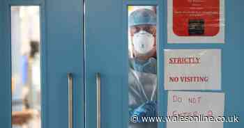 Treatment breakthrough as common steroid cuts Covid-19 deaths