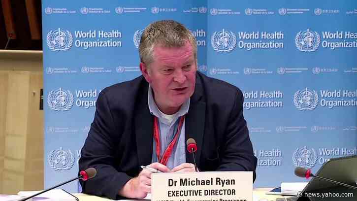 WHO says the 'hypothesis' behind China's new outbreak needs further testing