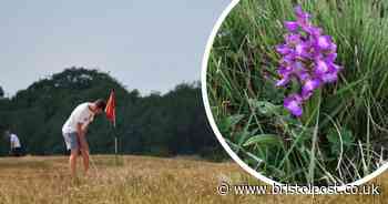 The unusual reason half of Bristol golf course has been closed off