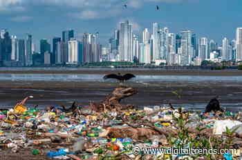 Want to clean up the oceans but don’t know how? This site is the place to start