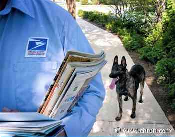 Houston ranks first in country for postal workers bitten by dogs